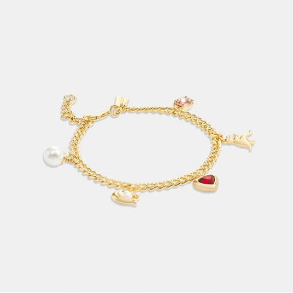 Coach NWT Signature Stone And Heart Charm Bracelet - Picture 1 of 9